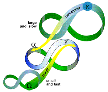 The adaptive cycle and panarchy (Credit: Resilience Alliance)