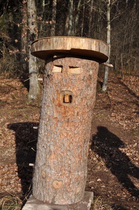 Pictured here is a tree beehive. Tree beekeeping is taught by Free the Bees in Switzerland, based on the practices of their Polish colleagues.