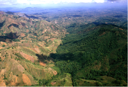 Haiti Is Covered With Trees Envirosociety
