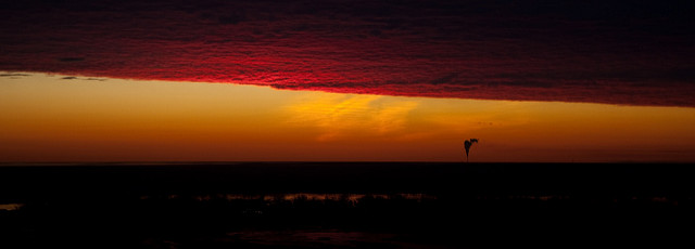 Sunrise over Lake Ontario, with a single smoke stack in the distance (photo by veggiefrog via Flick, CC BY 2.0).