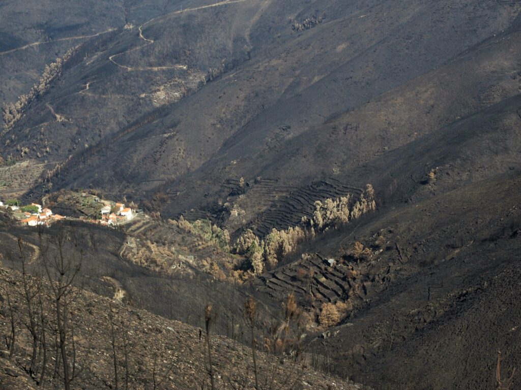 A valley landscape with large burn patterns across the hillside. 